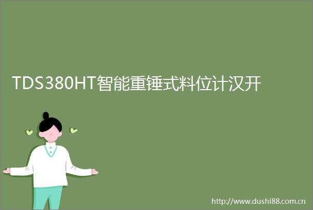 TDS380HT智能重锤式料位计汉开