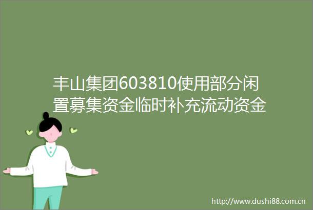 丰山集团603810使用部分闲置募集资金临时补充流动资金