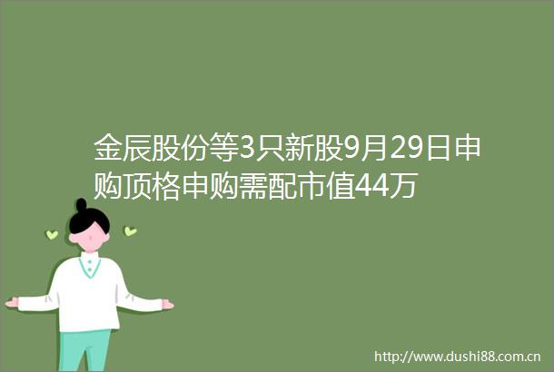 金辰股份等3只新股9月29日申购顶格申购需配市值44万