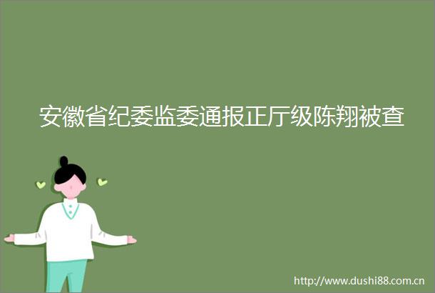 安徽省纪委监委通报正厅级陈翔被查