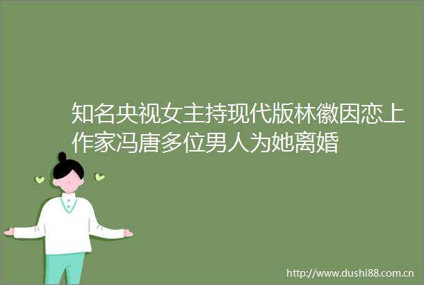 知名央视女主持现代版林徽因恋上作家冯唐多位男人为她离婚