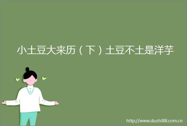 小土豆大来历（下）土豆不土是洋芋
