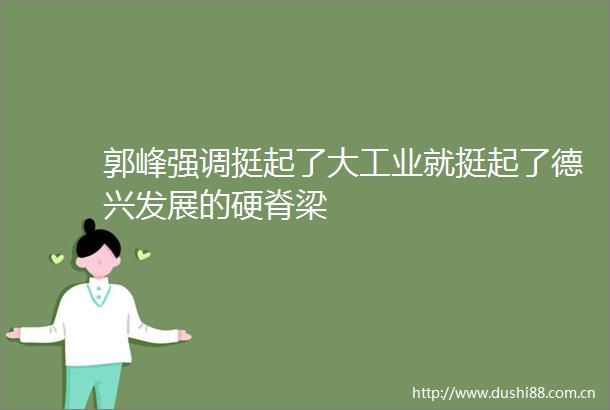 郭峰强调挺起了大工业就挺起了德兴发展的硬脊梁