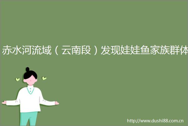 赤水河流域（云南段）发现娃娃鱼家族群体