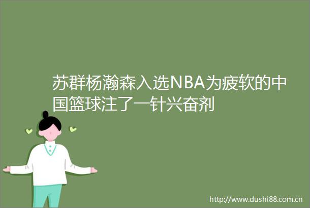 苏群杨瀚森入选NBA为疲软的篮球注了一针兴奋剂