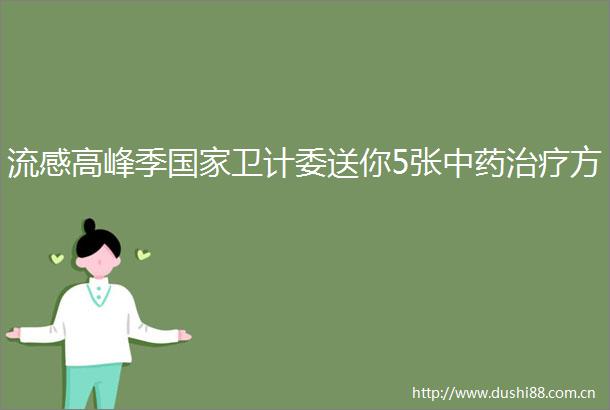 流感高峰季卫计委送你5张中药治疗方