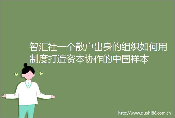 智汇社一个散户出身的组织如何用制度打造资本协作的样本