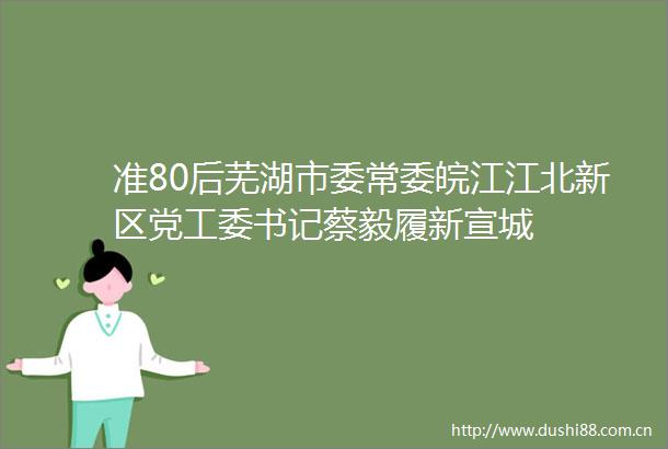 准80后芜湖市委常委皖江江北新区党工委书记蔡毅履新宣城
