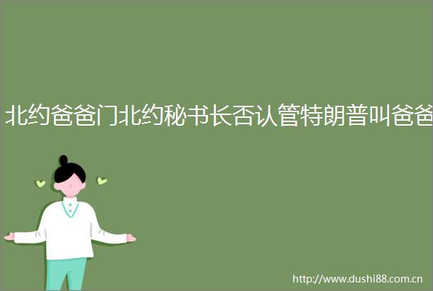 北约爸爸门北约秘书长否认管特朗普叫爸爸