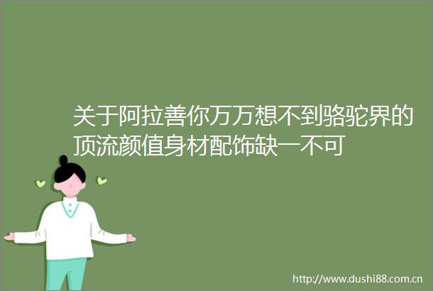 关于阿拉善你万万想不到骆驼界的顶流颜值身材配饰缺一不可