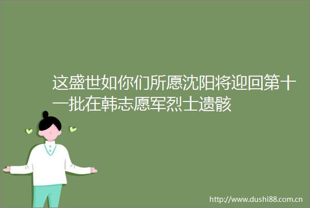 这盛世如你们所愿沈阳将迎回第十一批在韩志愿军烈士遗骸