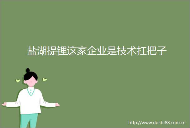 盐湖提锂这家企业是技术扛把子