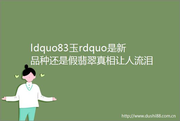ldquo83玉rdquo是新品种还是假翡翠真相让人流泪