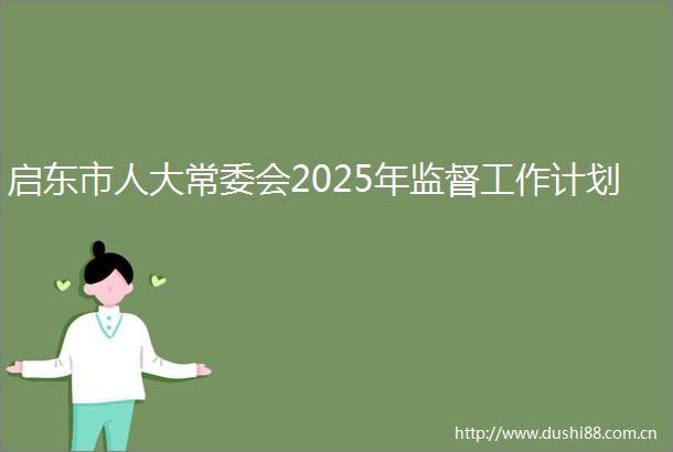 启东市人大常委会2025年监督工作计划