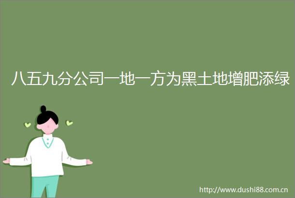 八五九分公司一地一方为黑土地增肥添绿