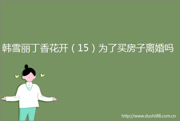 韩雪丽丁香花开（15）为了买房子离婚吗