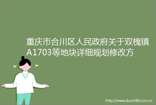 重庆市合川区关于双槐镇A1703等地块详细规划修改方案的批复