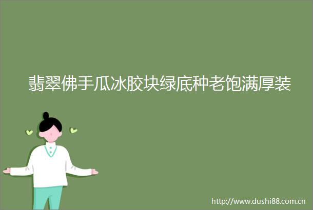 翡翠佛手瓜冰胶块绿底种老饱满厚装