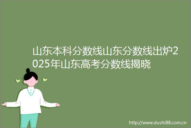 山东本科分数线山东分数线出炉2025年山东高考分数线揭晓