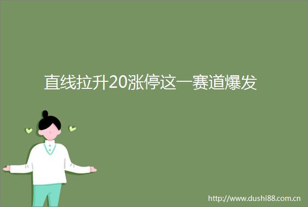 直线拉升20涨停这一赛道爆发