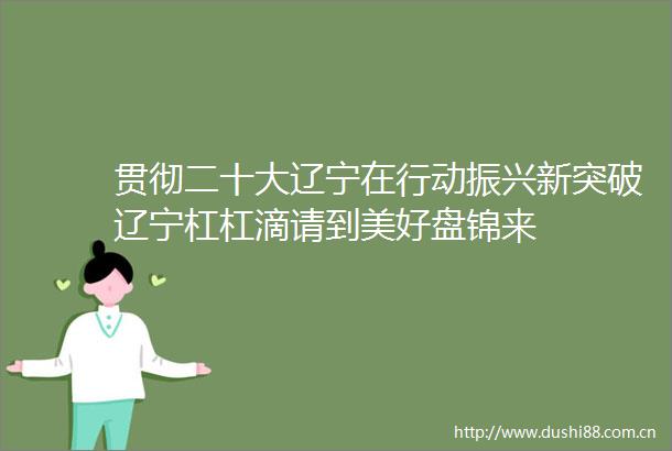 贯彻二十大辽宁在行动振兴新突破辽宁杠杠滴请到美好盘锦来
