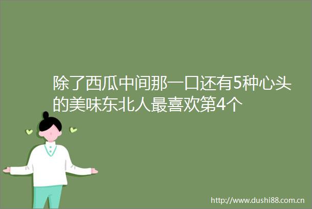 除了西瓜中间那一口还有5种心头的美味东北人最喜欢第4个