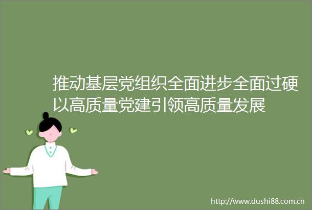 推动基层党组织全面进步全面过硬以高质量党建引领高质量发展