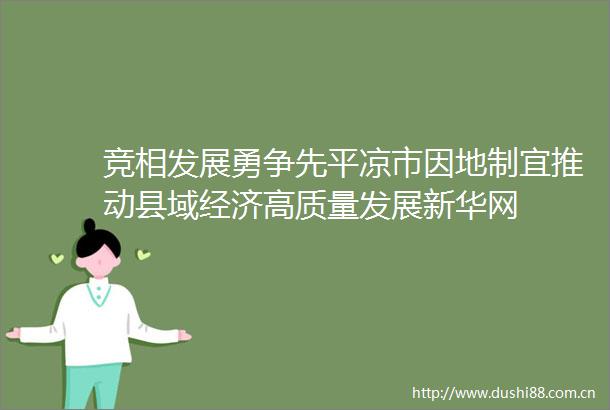竞相发展勇争先平凉市因地制宜推动县域经济高质量发展新华网