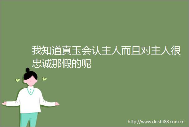 我知道真玉会认主人而且对主人很忠诚那假的呢