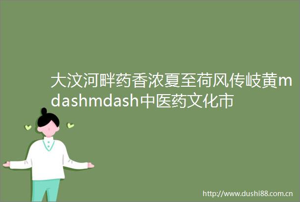 大汶河畔药香浓夏至荷风传岐黄mdashmdash中医药文化市集点亮健康夜