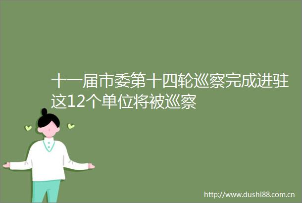 十一届市委第十四轮巡察完成进驻这12个单位将被巡察