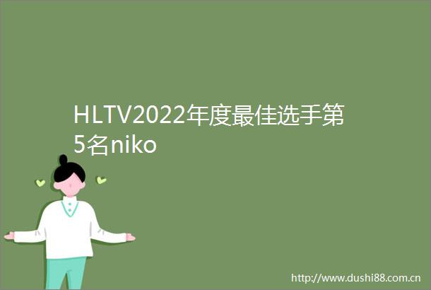HLTV2022年度最佳选手第5名niko