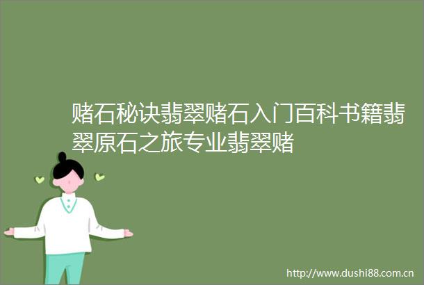 赌石秘诀翡翠赌石入门百科书籍翡翠原石之旅专业翡翠赌