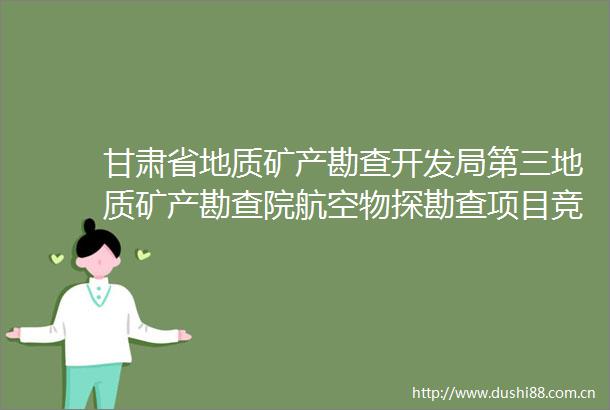 甘肃省地质矿产勘查开发局第三地质矿产勘查院航空物探勘查项目竞争性磋商公告