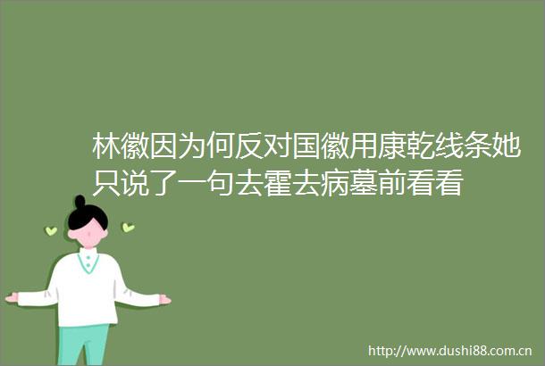 林徽因为何反对国徽用康乾线条她只说了一句去霍去病墓前看看