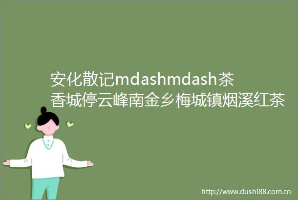 安化散记mdashmdash茶香城停云峰南金乡梅城镇烟溪红茶马道云台山资江水百花溪hellip收藏