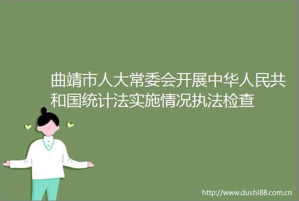 曲靖市人大常委会开展中华共和国统计法实施情况检查