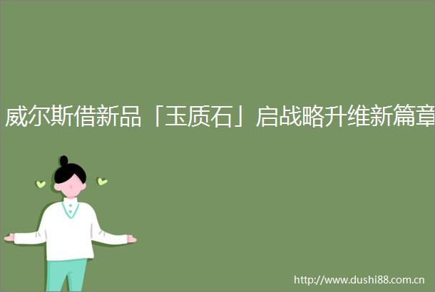 威尔斯借新品「玉质石」启战略升维新篇章