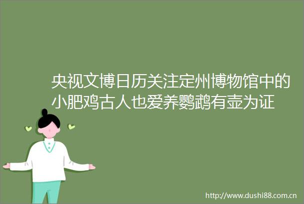 央视文博日历关注定州博物馆中的小肥鸡古人也爱养鹦鹉有壶为证