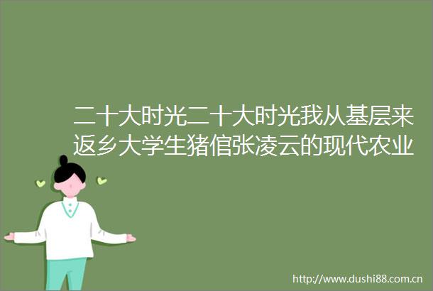 二十大时光二十大时光我从基层来返乡大学生猪倌张凌云的现代农业梦