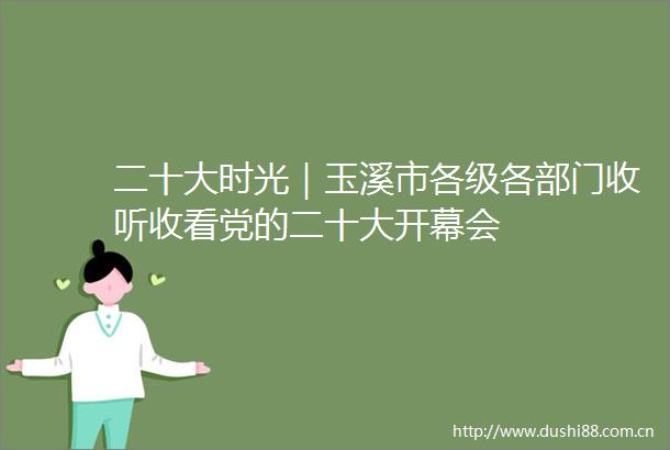 二十大时光｜玉溪市各级各部门收听收看党的二十大开幕会