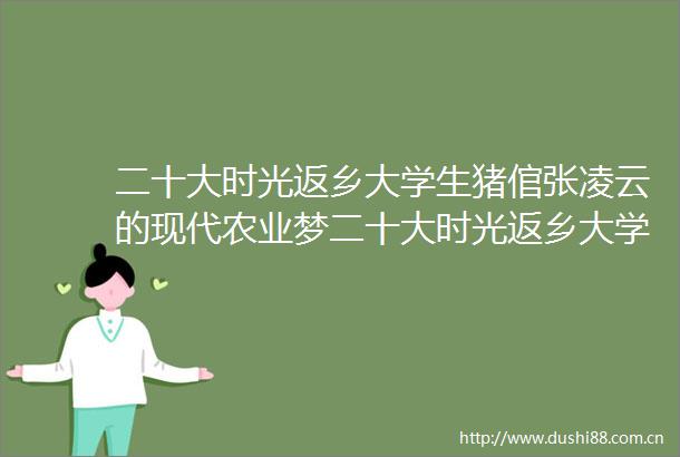 二十大时光返乡大学生猪倌张凌云的现代农业梦二十大时光返乡大学生猪倌张凌云的现代农业梦