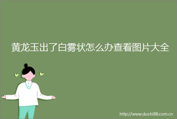 黄龙玉出了白雾状怎么办查看图片大全