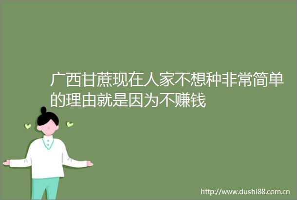 广西甘蔗现在人家不想种非常简单的理由就是因为不赚钱