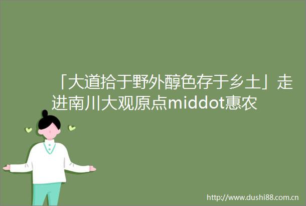 「大道拾于野外醇色存于乡土」走进南川大观原点middot惠农乡野学堂