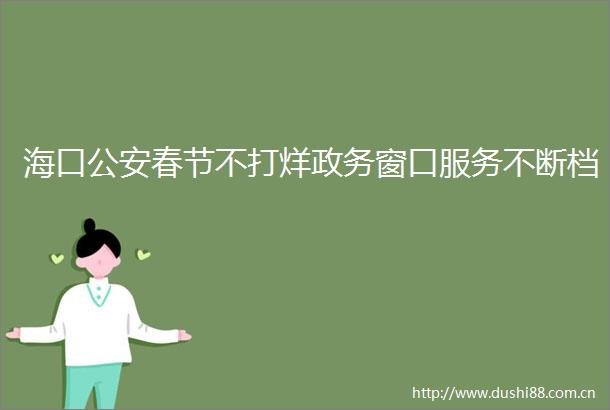 海口春节不打烊政务窗口服务不断档