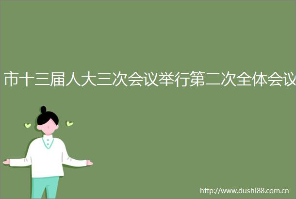 市十三届人大三次会议举行第二次全体会议