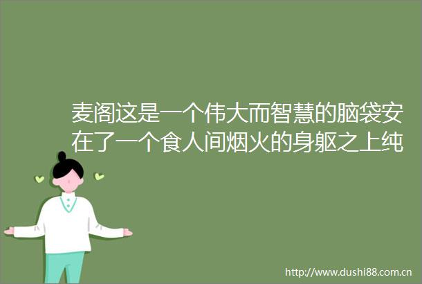 麦阁这是一个伟大而智慧的脑袋安在了一个食人间烟火的身躯之上纯粹书单