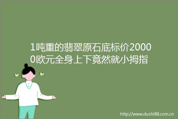 1吨重的翡翠原石底标价20000欧元全身上下竟然就小拇指