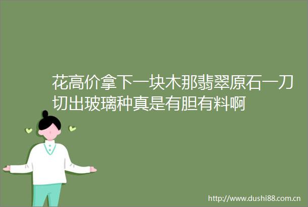 花高价拿下一块木那翡翠原石一刀切出玻璃种真是有胆有料啊